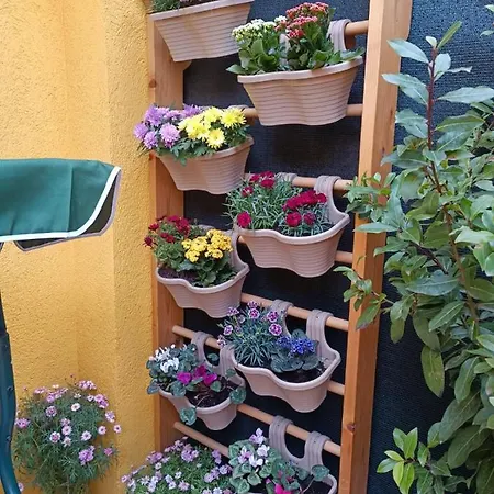 בית נופש E&e Sweet טיראנה